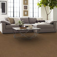 TRAVERSE-54748-MESA-BROWN-00701-room-image